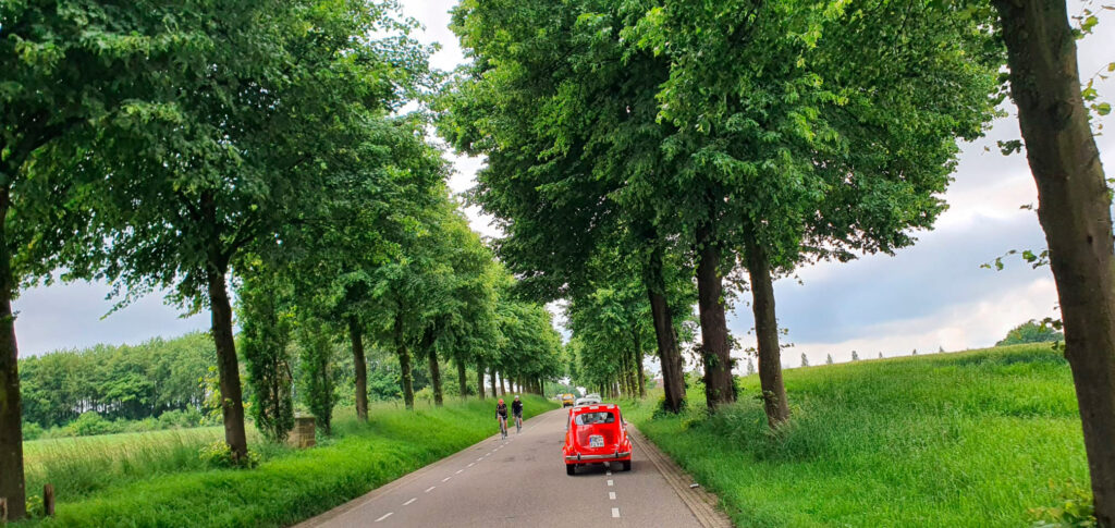 Blick nach vorn auf die vorausfahrenden Fiat 600 in einer Allee, während uns Rennradfahrer entgegen kommen.