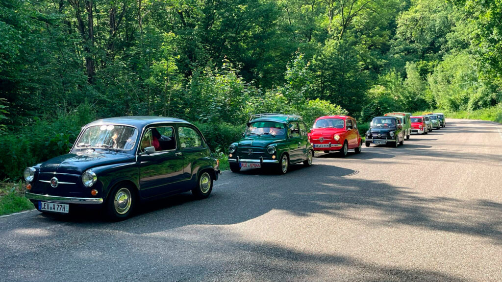 Mehrere Fiat 600 stehen am Straßenrand in der Sonne.